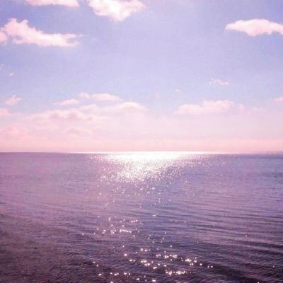 kok最新客户端手机app下载截图