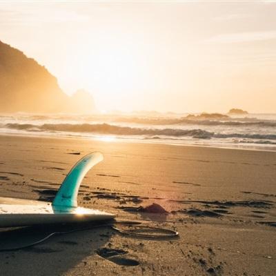 竞猜足球app下载手机版